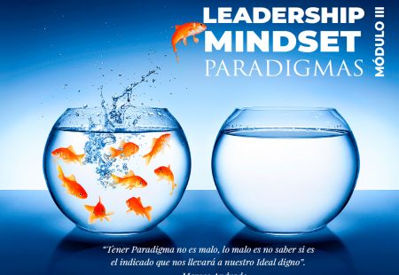 Leadership Mindset Módulo 3