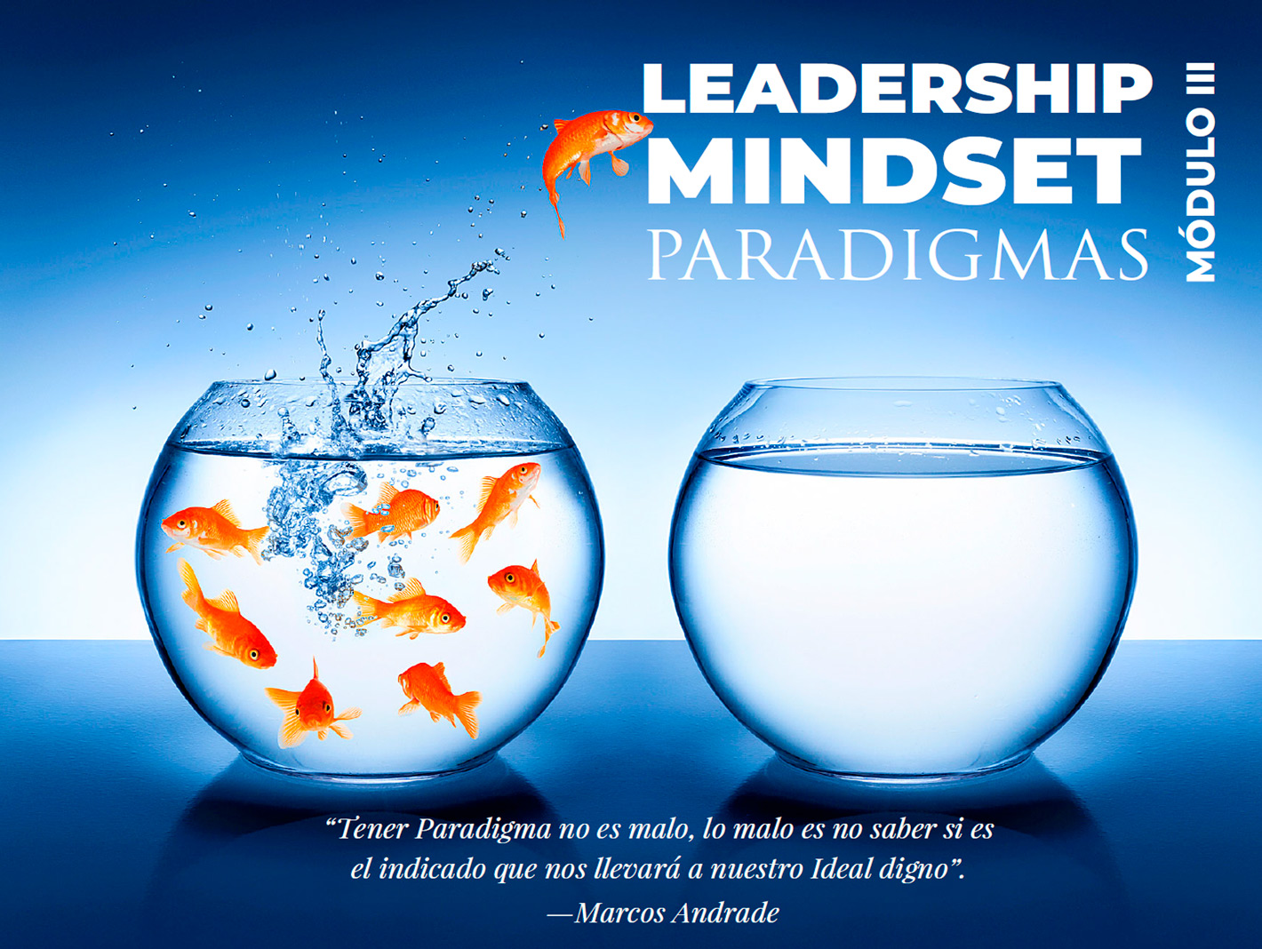LeadershipMindset-Modulo-3